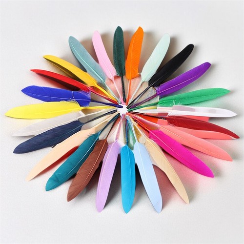 Wholesale! 50pcs DIY Natural Goose Feather 4-6 Inch /10-15cm Carnival Headress
