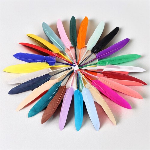 Wholesale! 50pcs DIY Natural Goose Feather 4-6 Inch /10-15cm Carnival Headress - Picture 1 of 52