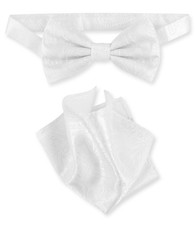 Vesuvio Napoli BowTie White Paisley Color Mens Bow Tie and Handkerchief