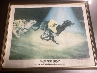David French Greyhound Picture,scurlouge Champ.