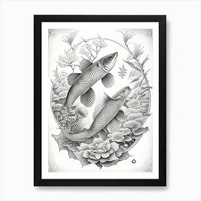 Kin Showa Koi Fish Haeckel Style Il Framed Wall Art Poster Canvas Print Picture