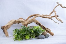 Manzanita Driftwood Branch: Aquarium Terrarium Aquascape Home Decor 27"