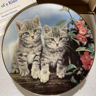 ZWEI VON EINER ART (2 blauäugige Kätzchen) purrfekte Porträts mit 22 Karat Gold beschnitten