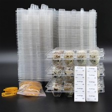 Quail Egg Cartons,Quail Egg Cartons Cheap Bulk 50 Pack of 12 Small Tray,Reusa...