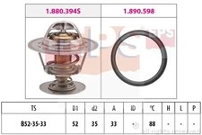 Thermostat Ford P 100