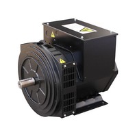 Stromerzeuger Ohne Motor 400V 15Kw 3-Phasig BüRstenlos Synchron Generator Avr