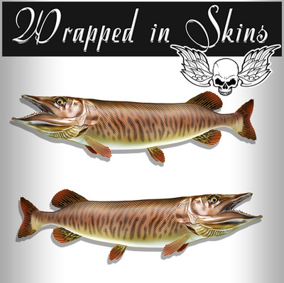 Tiger Musky Fish Stickers Fishing Decals - Indoor / Outdoor Stickers AFP-0088