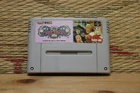 Magic Sword Nintendo Super Famicom SFC Very Good Condition!