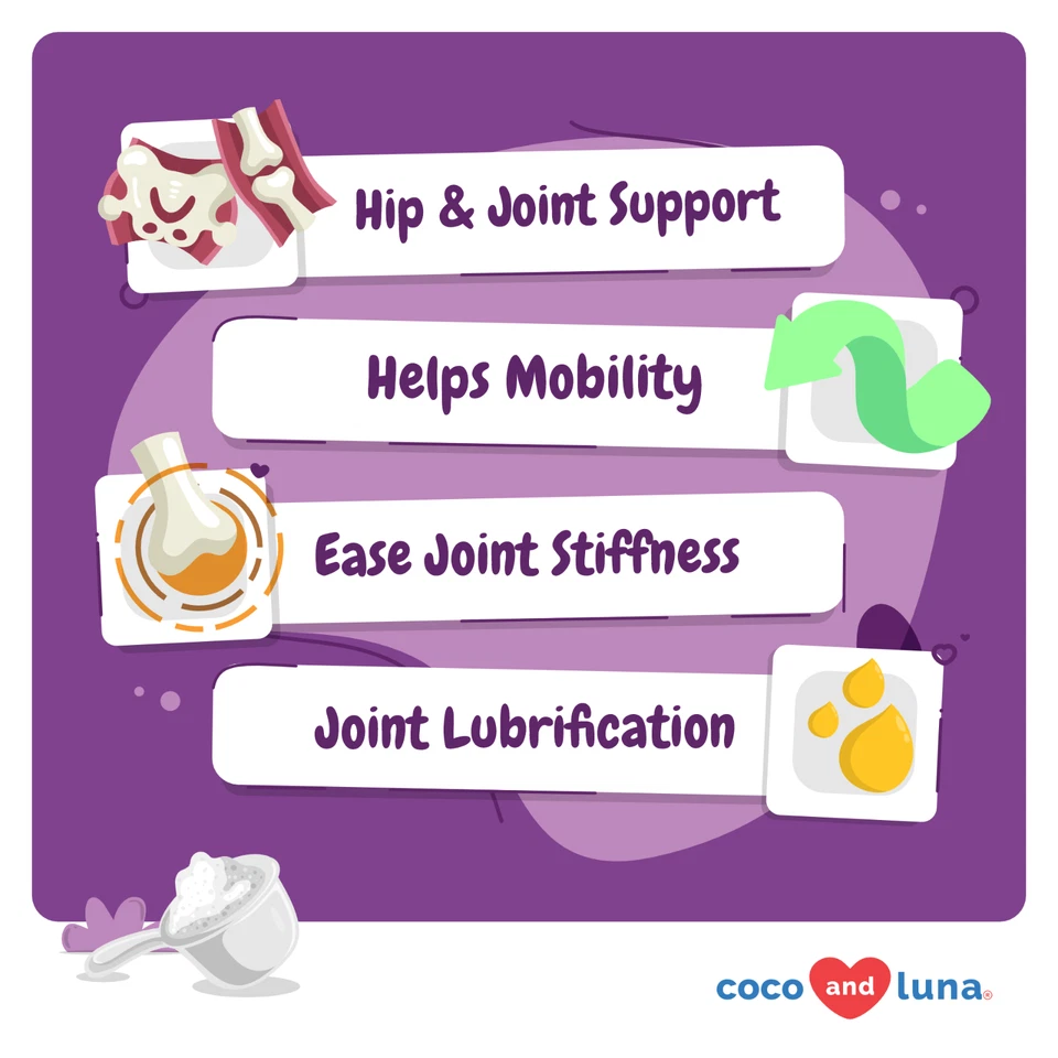 Glucosamina para gatos - Musel de labios verdes, MSM, condroitina, vitamina E - Polvo Foto 2 de 4