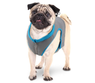 Dog Cooling Vest AFP All For Paws Chill Out Coat Cool Temperature Clothing Large