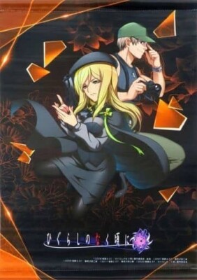 Higurashi Irodori Web Kuji Prize B-4 A2 Tapestry Wall Scroll Poster Miyo Takano
