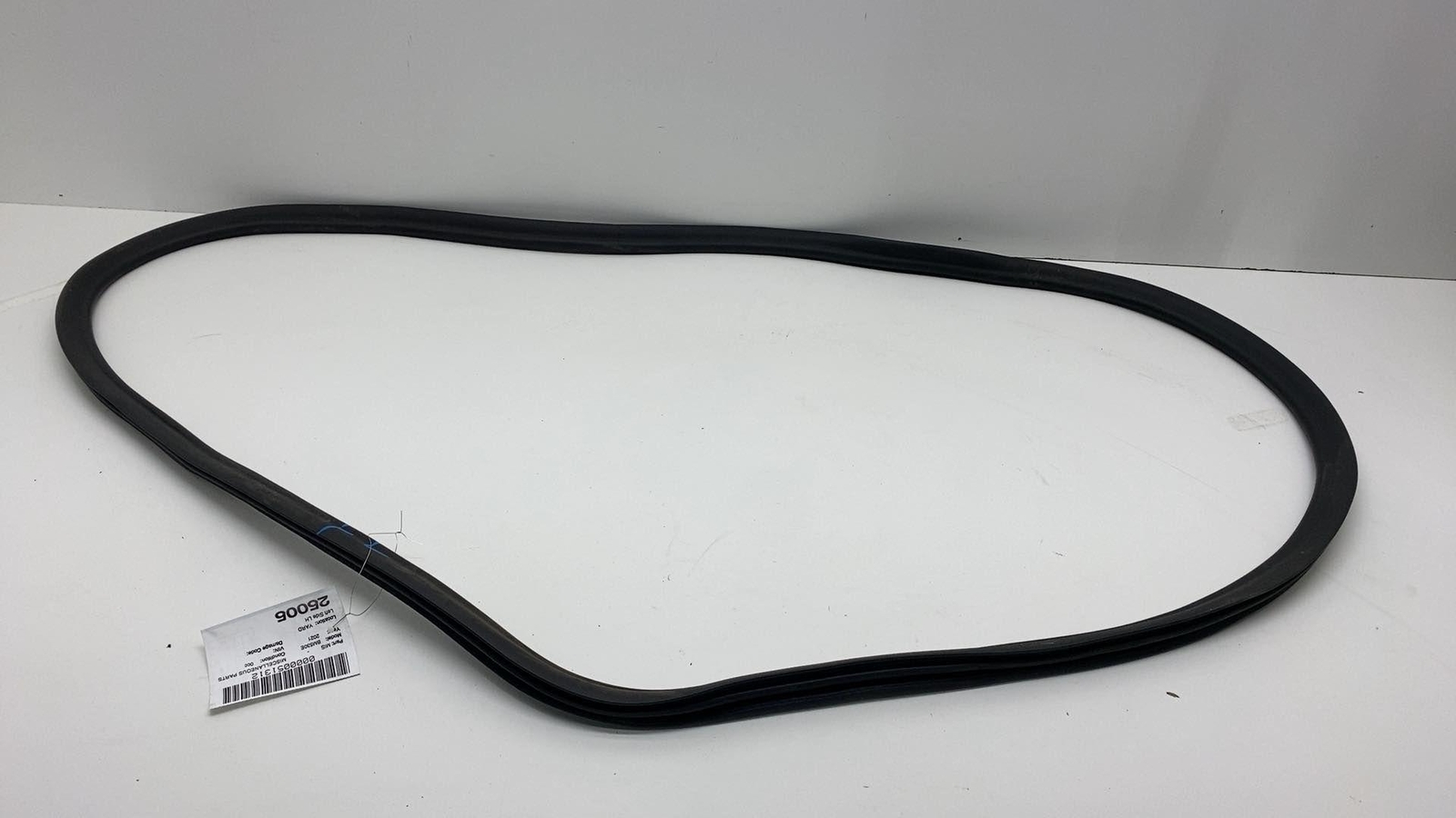2019-2021 BMW 530e G30 Driver Side Front Left Door Weatherstrip Seal OEM