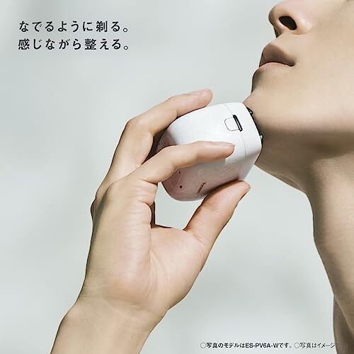 Panasonic LAM DASH PALM IN　ES-PV3A-K Panasonic LAMDASH PALM IN Black ES-PV3A-K 5 Blades Compact