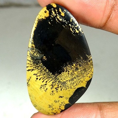 27.25Cts 100% Natural Sagebrush Jasper Fancy Shape Cab Loose Gemstones 23x40x4mm