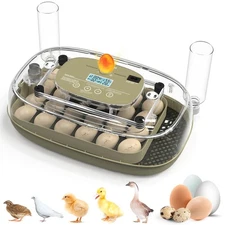 Incubators for Hatching Eggs Egg Incubator 24 Eggs Chicken 360° Egg Candler View