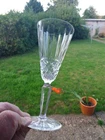 WATERFORD CRYSTAL MAEVE CHAMPAGNE FLUTE ... 7"