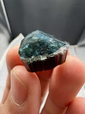 Blue Caps Cristal