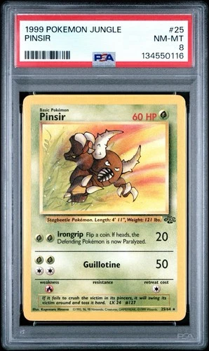 Pinsir non-holo PSA 8 NM-MT #25/64 jungle set 1999 VTG Pokémon card