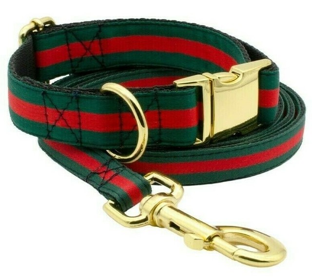 striped dog collar