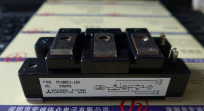 1PCS MITSUBISHI CM100DU-12H CM100DU12H MODULE -NEW