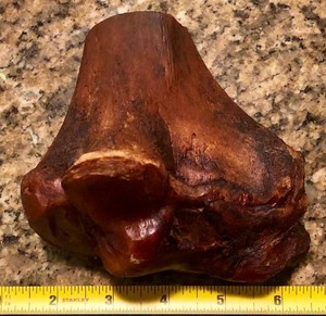 large knuckle bones for dogs