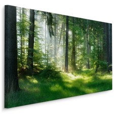 Leinwand Bild CANVAS WANDBILD Kunstdruck XXL Natur Wald Bäume Grün Wiese 1403