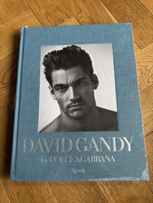 David Gandy by Dolce & Gabbana Rizzoli 2011 Hardcover Fasion Book Rare
