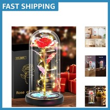 Beautiful Light-Up Rose Under Glass Dome - Forever Blooming Gift for Her