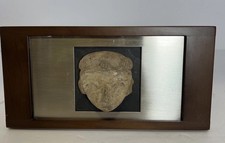 Pre-Columbian Terracotta Head Fragment Framed Nayarit Chinesco Style West Mexico