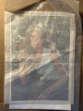 Vintage 1977 FARRAH FAWCETT Iron On Transfer - FLOWER NOS Pro Arts