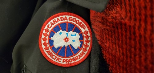 NEW LATEST GREY LABEL EDITION BLACK CANADA GOOSE CHILLIWACK LG LADIES JACKET - 第 12/12 張圖片