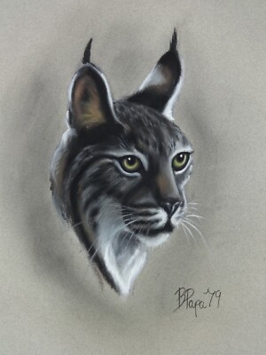 Luchs Wildkatze Zeichnung Kunst Original Vintage Signiert Pastell Tierbilder Katzen