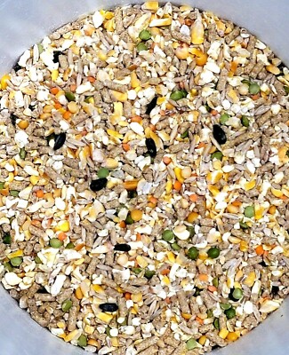 Chicken Rooster Game Bird Feed 15 OZ Scratch Grain Pellet Oyster Shell Omega 3 6