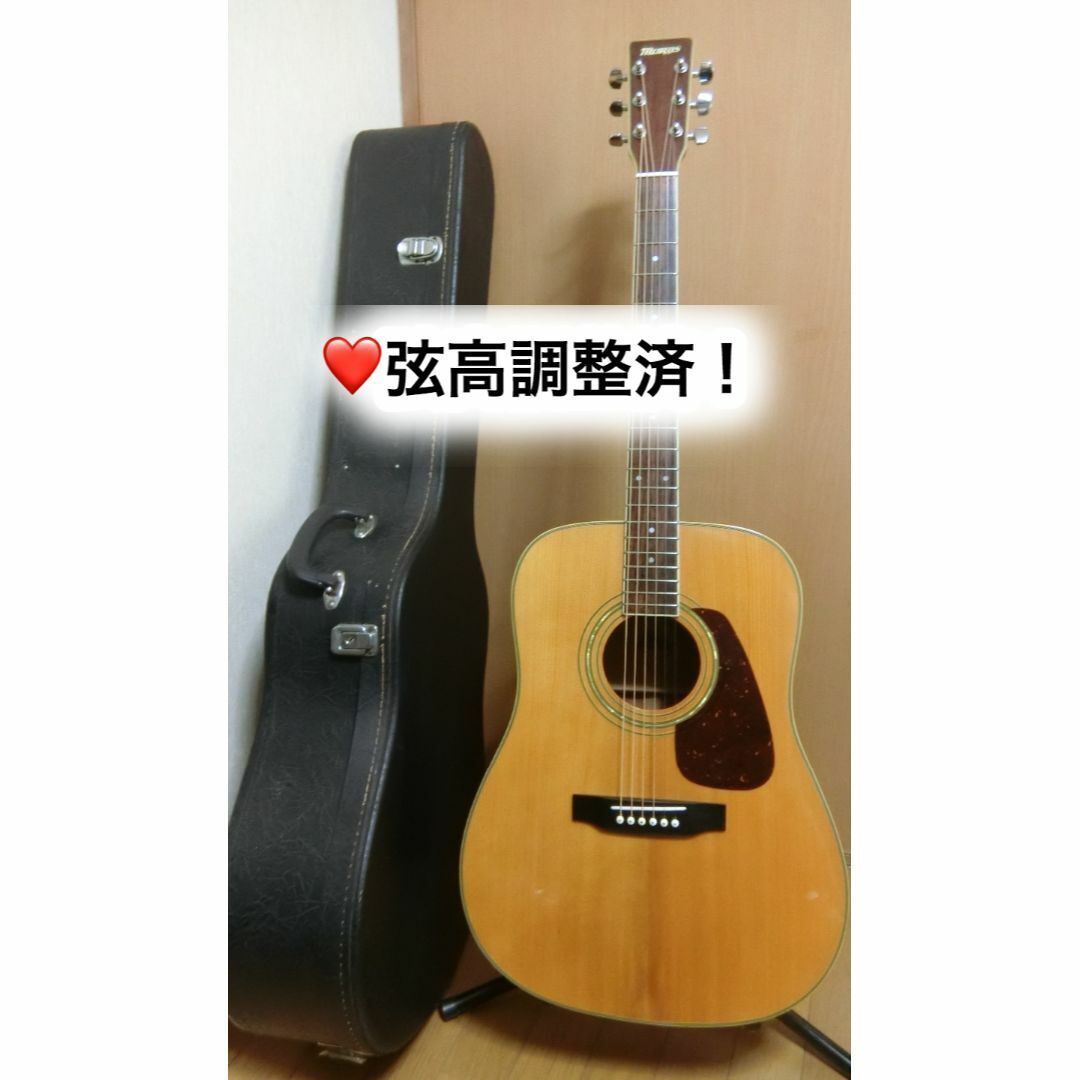 Electric Acoustic Guitar Morris MD-301N Natural Made in