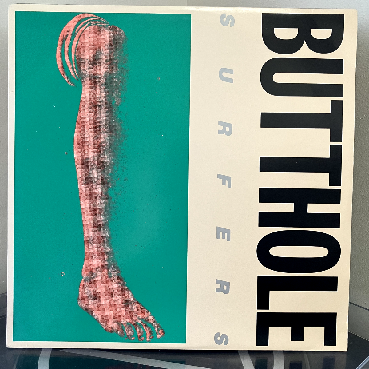 バットホール・サーファーズ Rembrandt Pussyhorse 1986