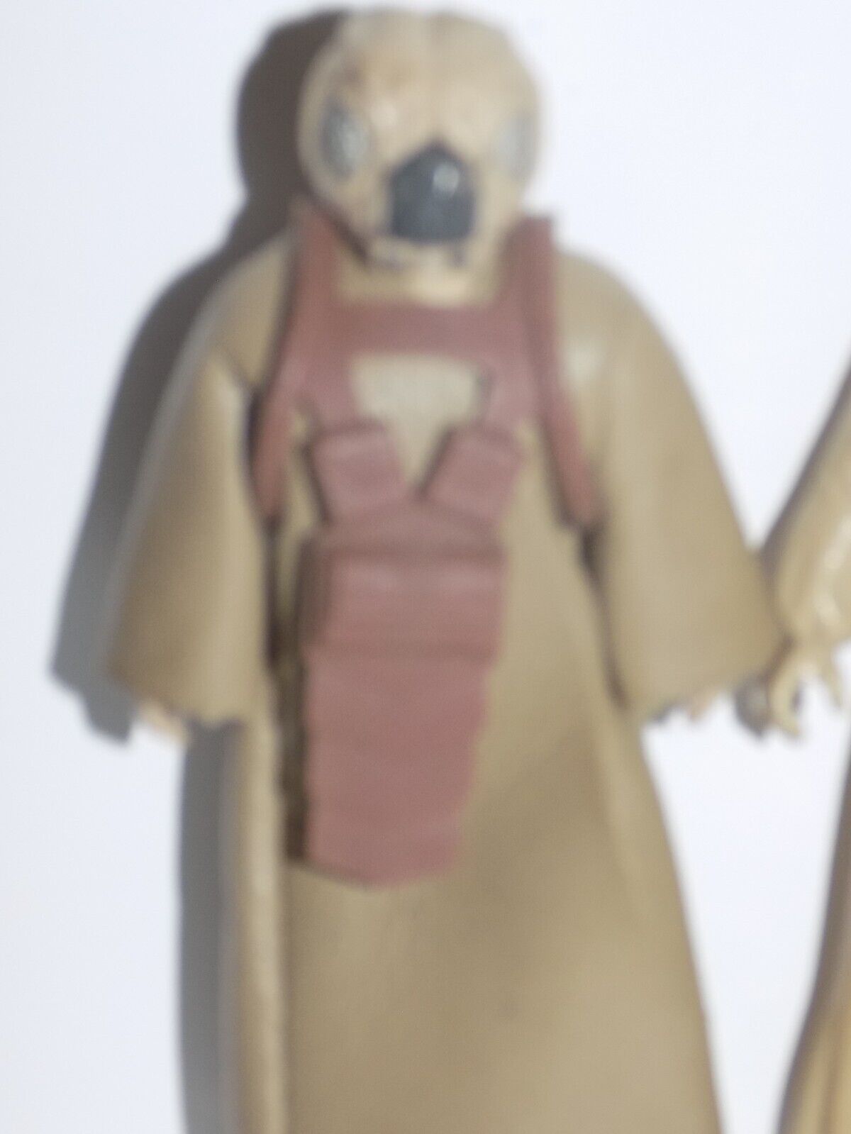 Foto 2 di 7