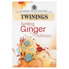 Twinings Ginger - 20 per pack