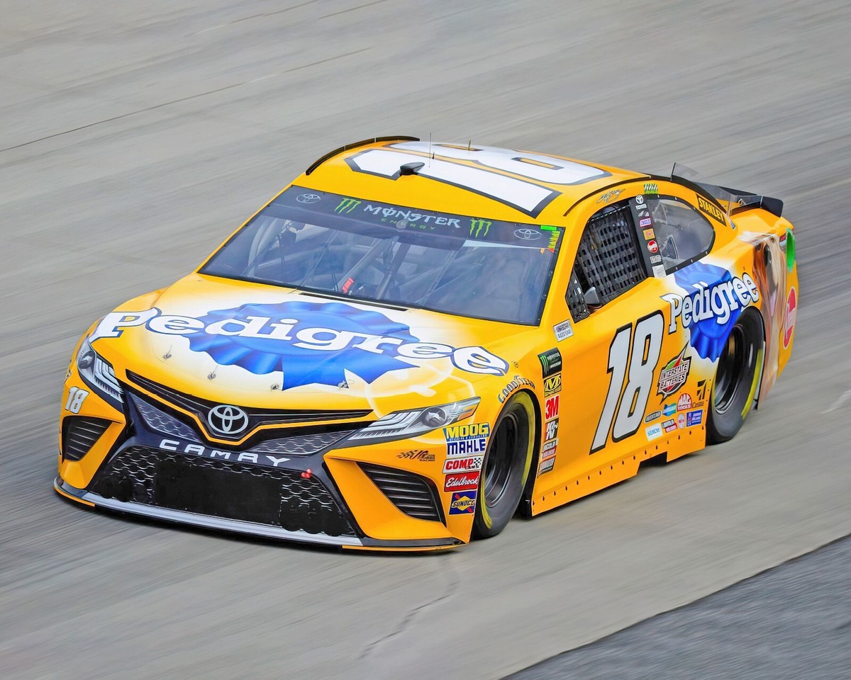 Kyle Busch #18 NASCAR 8