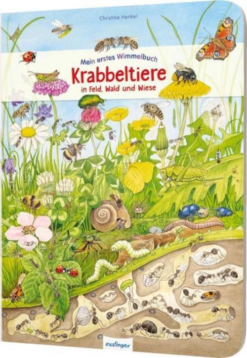 Krabbeltiere in Feld, Wald und Wiese - Bild 2