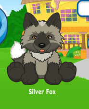 Webkinz Silver Fox Virtual PET Adoption Code Only Messaged