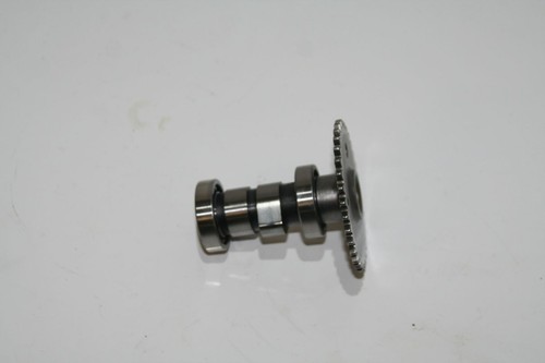 Nockenwelle für Rex RS 450