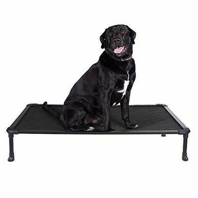 chew proof elevated dog bed