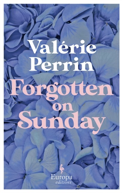 Forgotten on Sunday by Valerie Perrin (Paperback Book)