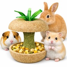 Colorful Hamster Chew Toys for Teeth Small Animal Toy Set