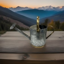 Water Can Country Farm Garden Vintage Galvanized 1998  B3