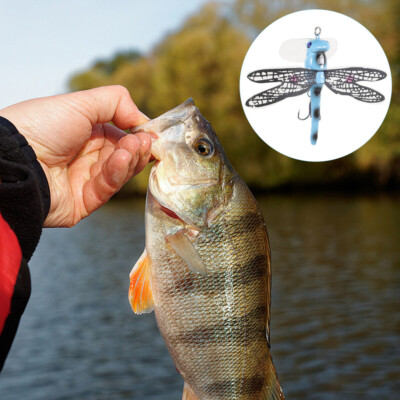 10 lb mono fishing line Joy Fish Monofilament Fishing Line 1 LB Spool
