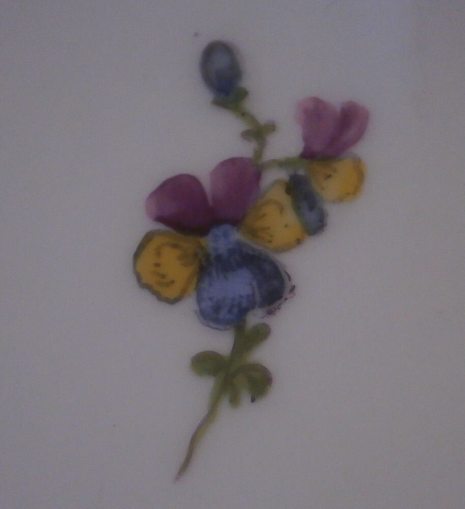 Picture 5 of 17