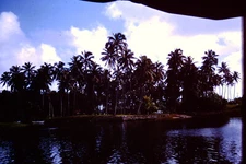 FEB 1963  Wailua River Hawaii Kodachrome  Slide BA-F