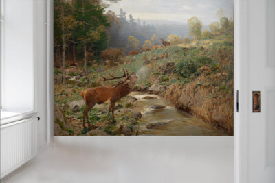 3D Elk Forest Stream Self-adhesive Removeable Wallpaper Wall Mural Sticker 29