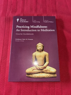 Practicing Mindfulness: An Intro To Meditation, Guidebook, Paperback Book, 2011
